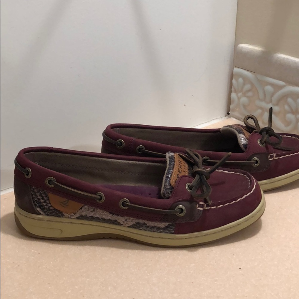 Sperry Angelfish